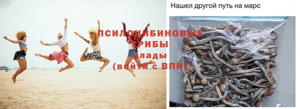 марки lsd Гусиноозёрск