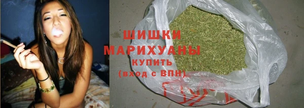 spice Дмитров