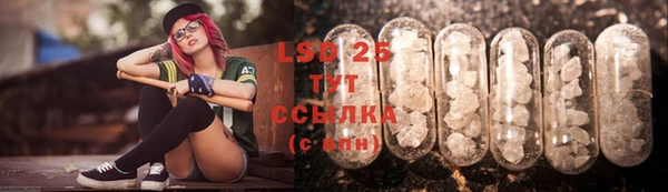 стафф Гусь-Хрустальный