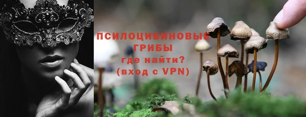 стафф Гусь-Хрустальный