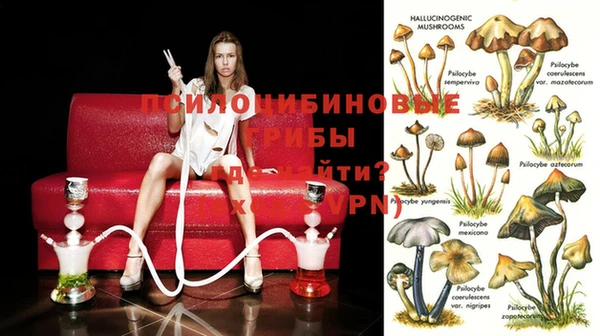 мяу мяу кристалл Гусев